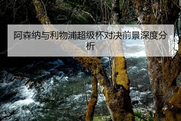 阿森纳与利物浦超级杯对决前景深度分析