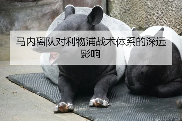 马内离队对利物浦战术体系的深远影响