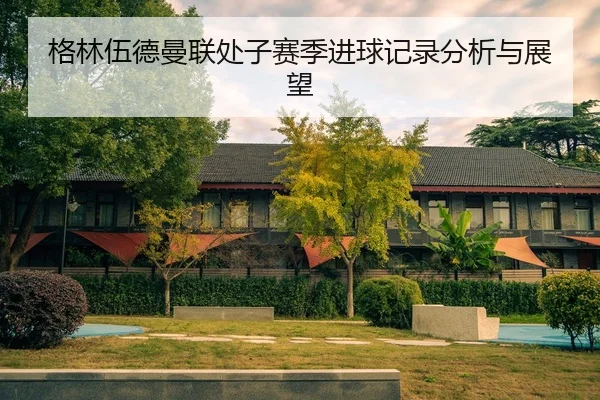 格林伍德曼联处子赛季进球记录分析与展望