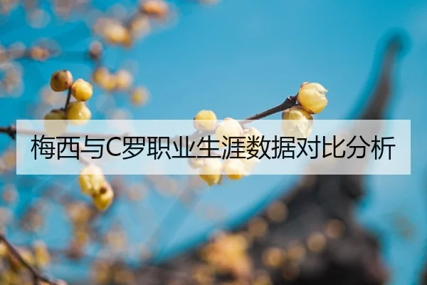 mei-xi-yu-luo-zhi-ye-sheng-ya-shu-ju-dui-bi-fen-xi-2-365.jpg