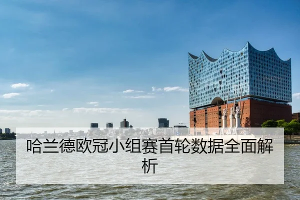ha-lan-de-ou-guan-xiao-zu-sai-shou-lun-shu-ju-quan-mian-jie-xi-2-426.jpg